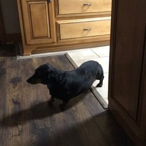 Meet your Posher, Randy